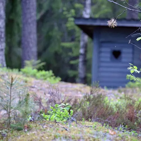Tontti Petaajarvi